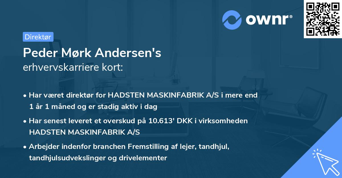 Peder Mørk Andersen's erhvervskarriere kort