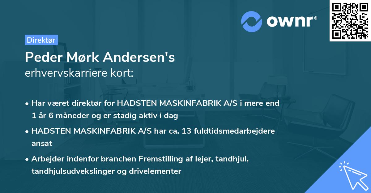 Peder Mørk Andersen's erhvervskarriere kort