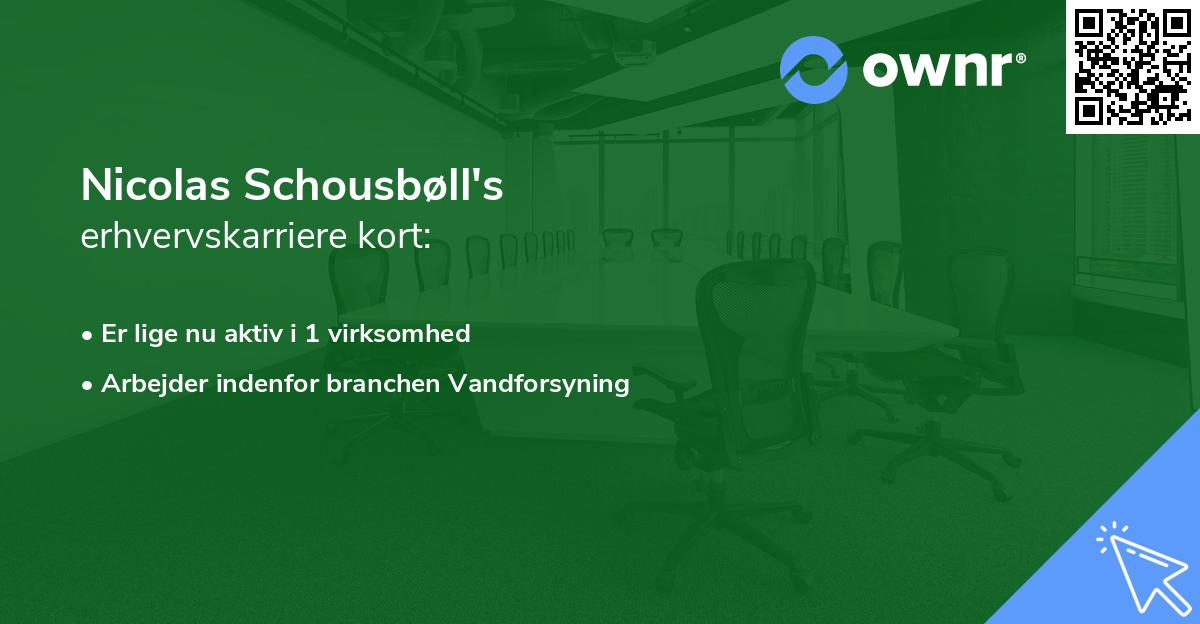 Nicolas Schousbøll's erhvervskarriere kort