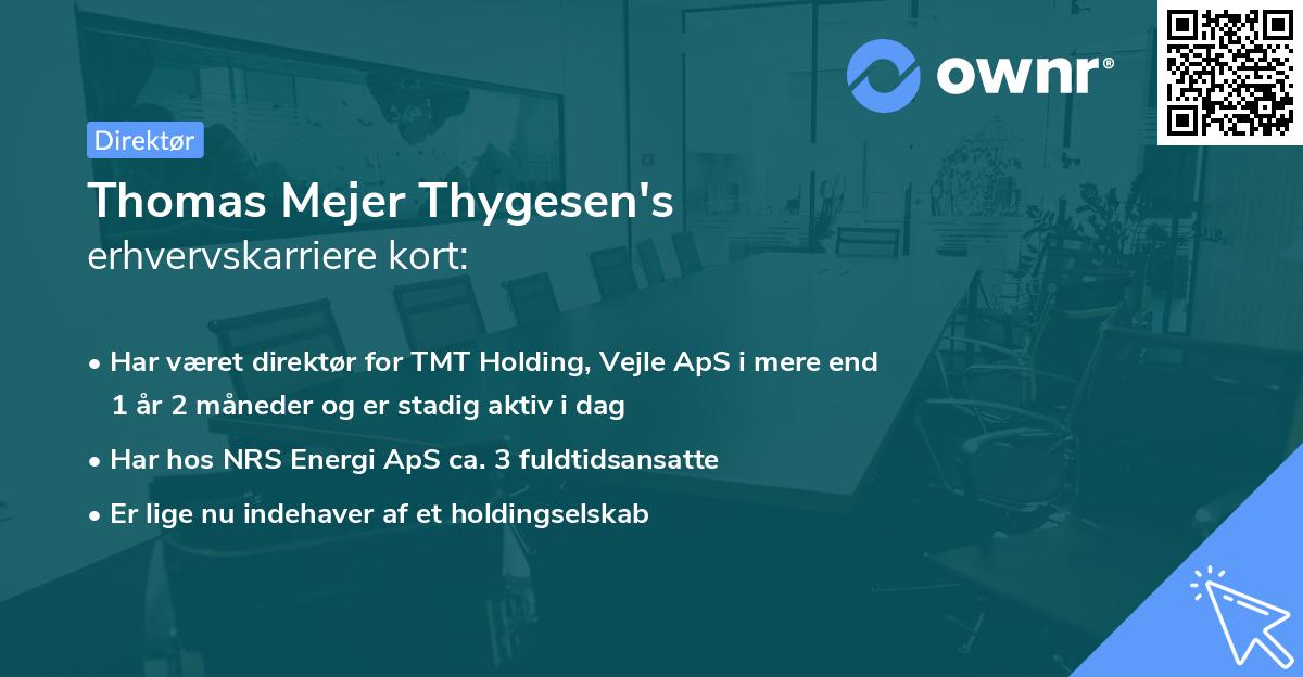 Thomas Mejer Thygesen's erhvervskarriere kort