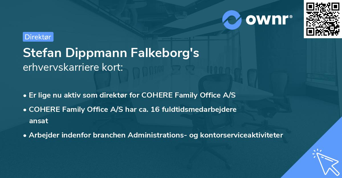 Stefan Dippmann Falkeborg's erhvervskarriere kort