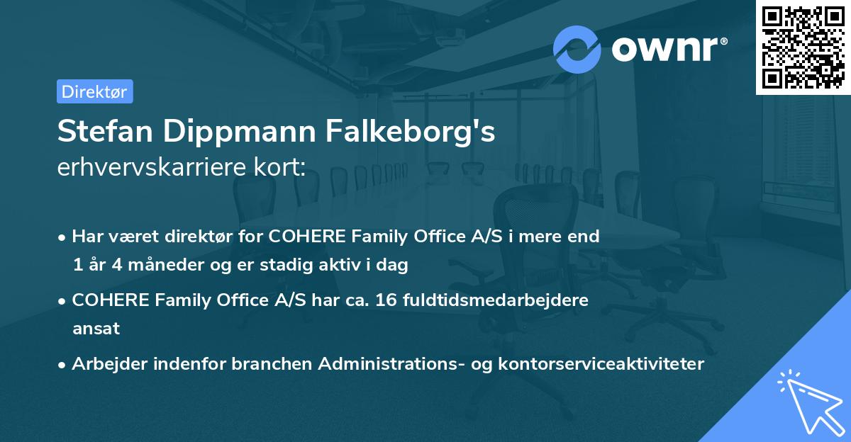 Stefan Dippmann Falkeborg's erhvervskarriere kort