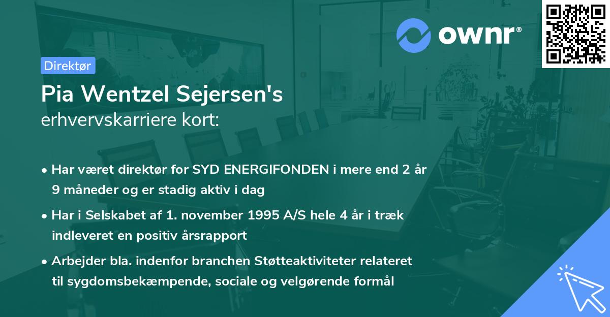 Pia Wentzel Sejersen's erhvervskarriere kort