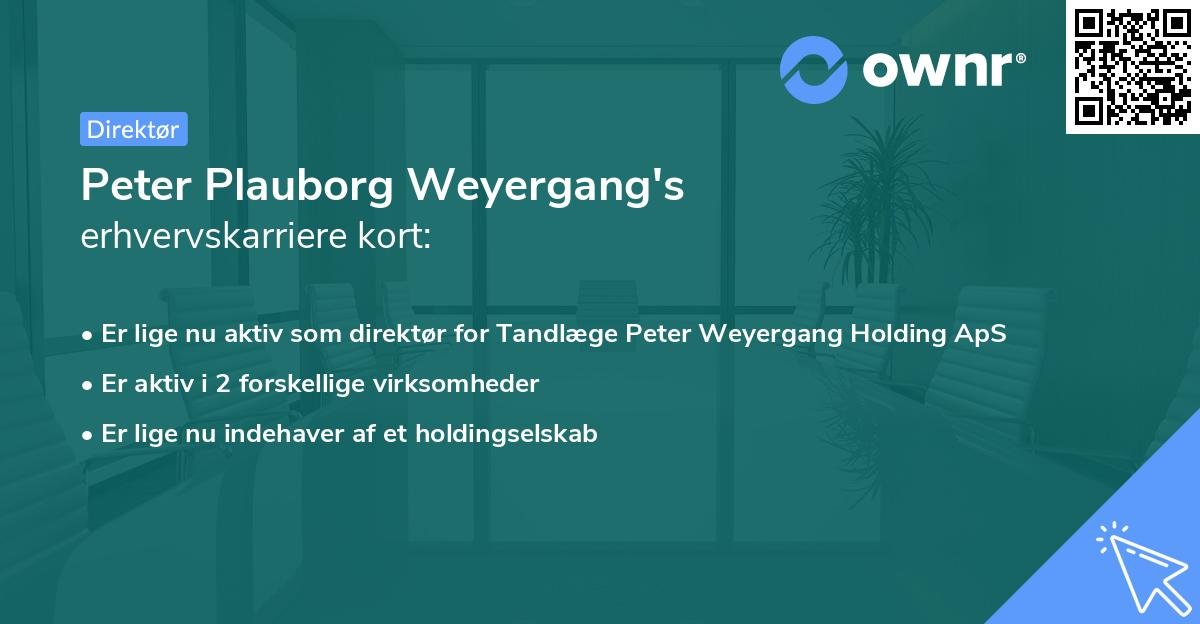 Peter Plauborg Weyergang's erhvervskarriere kort