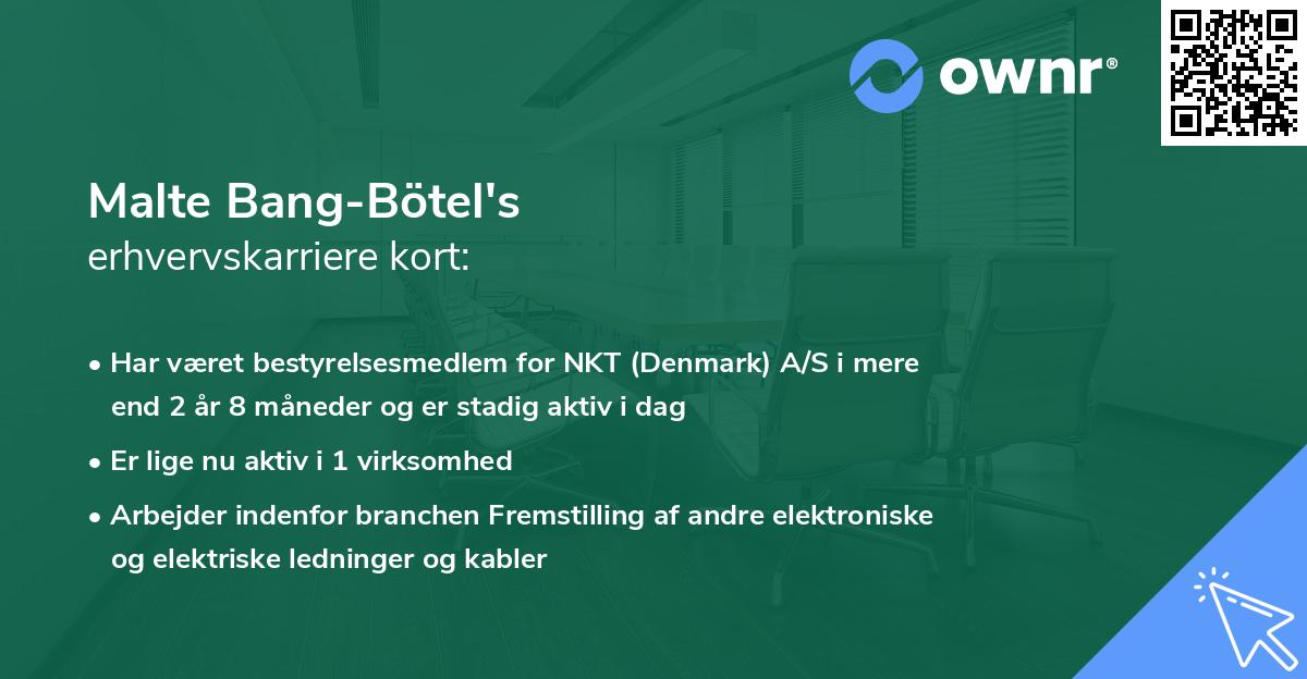 Malte Bang-Bötel's erhvervskarriere kort