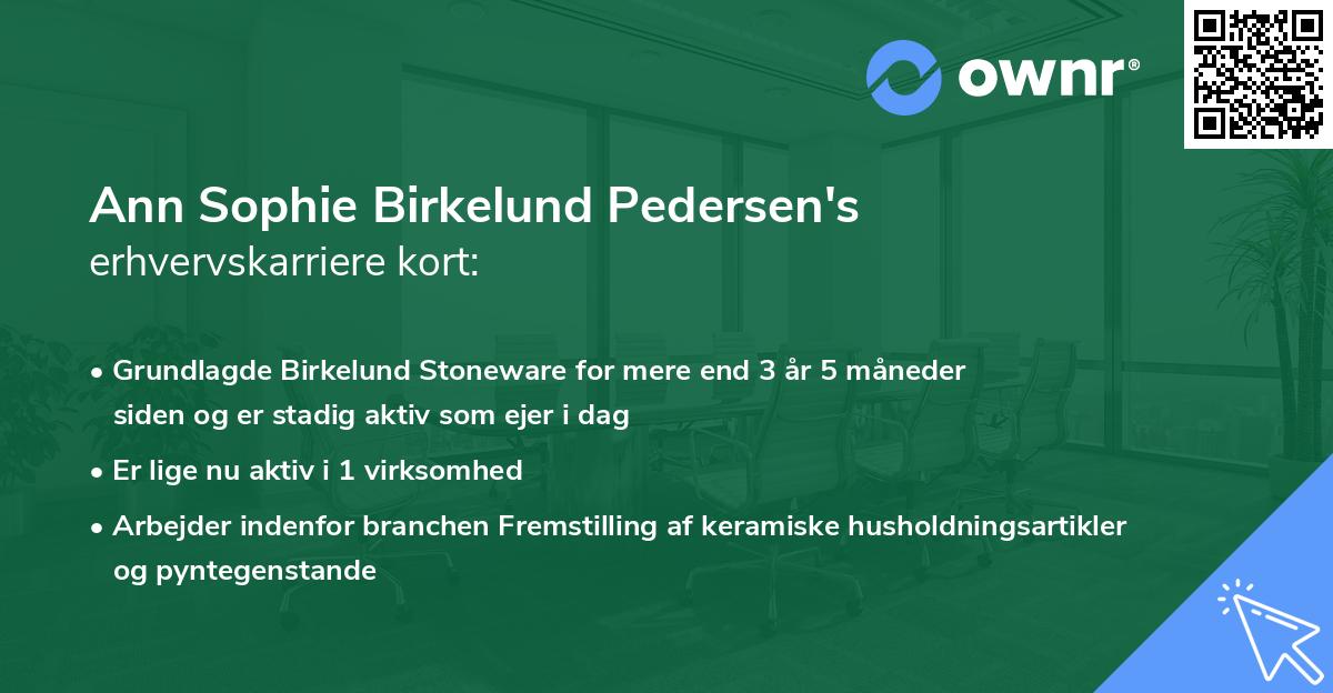 Ann Sophie Birkelund Pedersen's erhvervskarriere kort