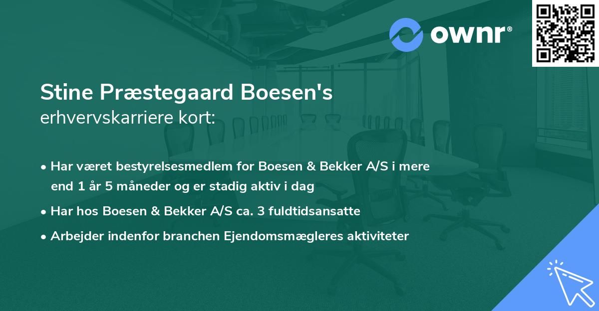 Stine Præstegaard Boesen's erhvervskarriere kort