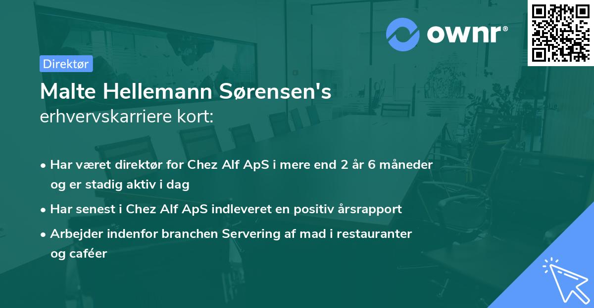 Malte Hellemann Sørensen's erhvervskarriere kort