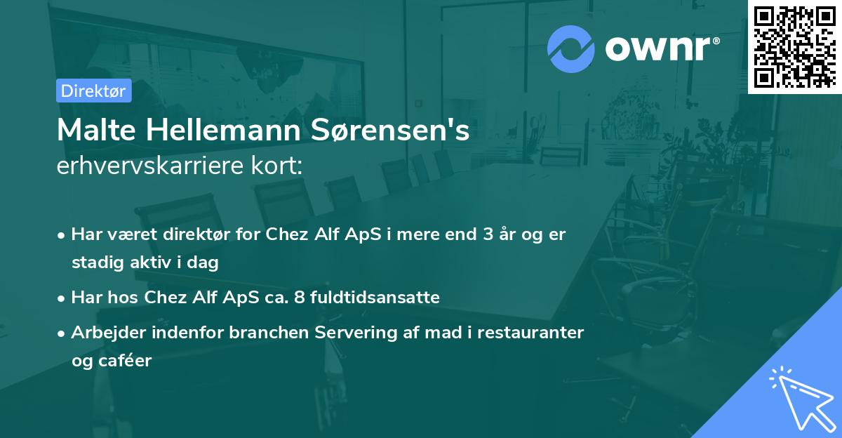 Malte Hellemann Sørensen's erhvervskarriere kort