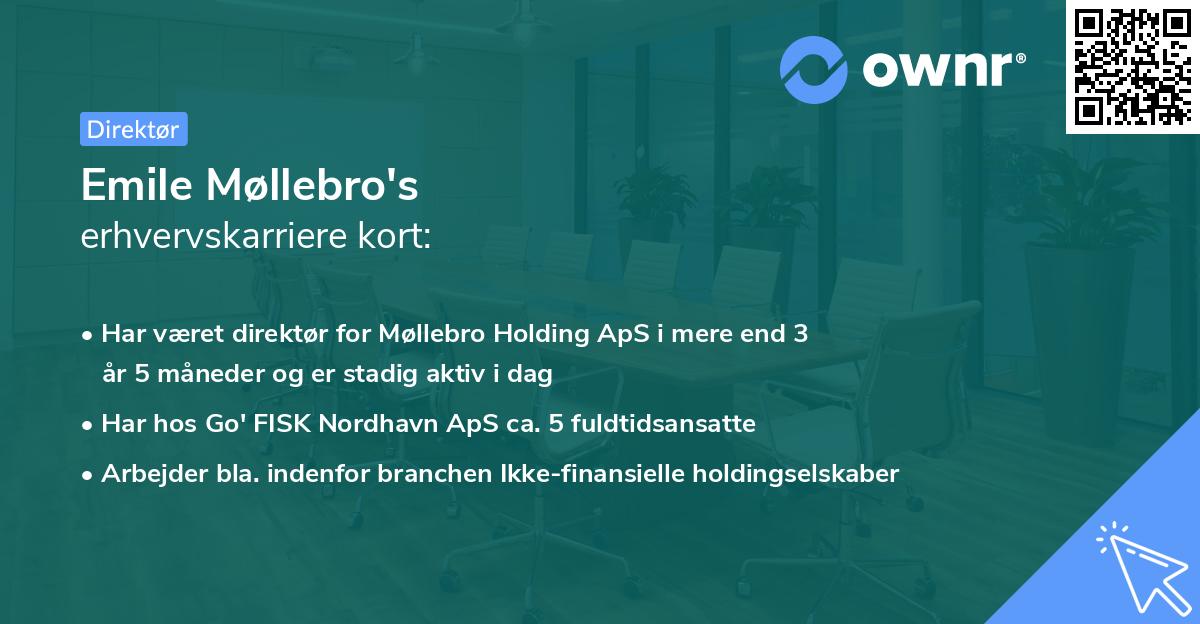 Emile Møllebro's erhvervskarriere kort
