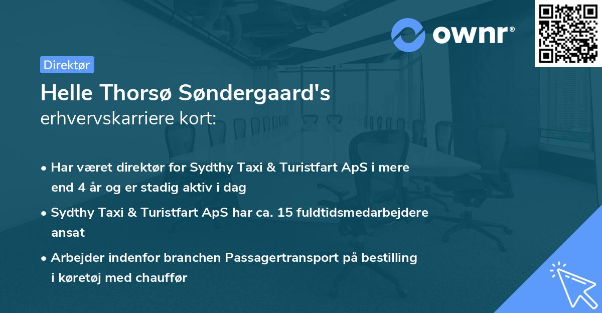 Helle Thorsø Søndergaard's erhvervskarriere kort