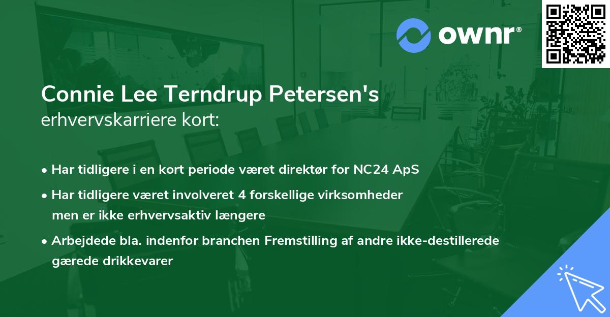 Connie Lee Terndrup Petersen's erhvervskarriere kort