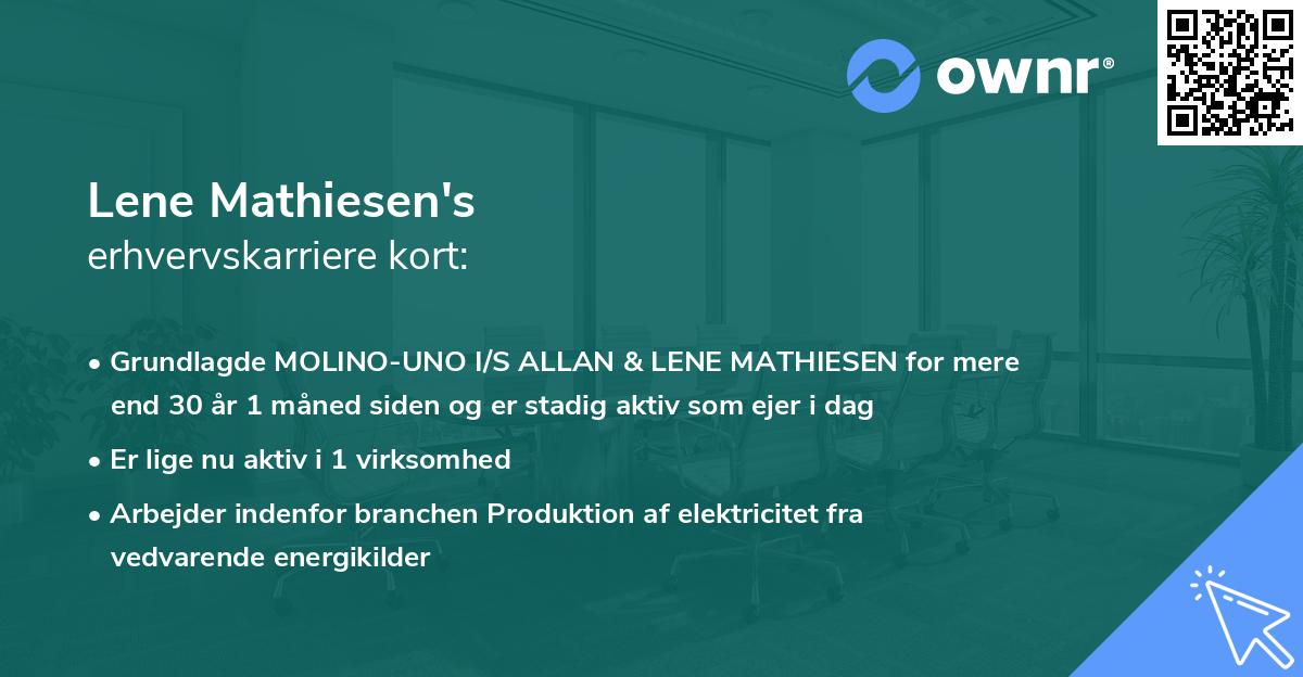 Lene Mathiesen's erhvervskarriere kort