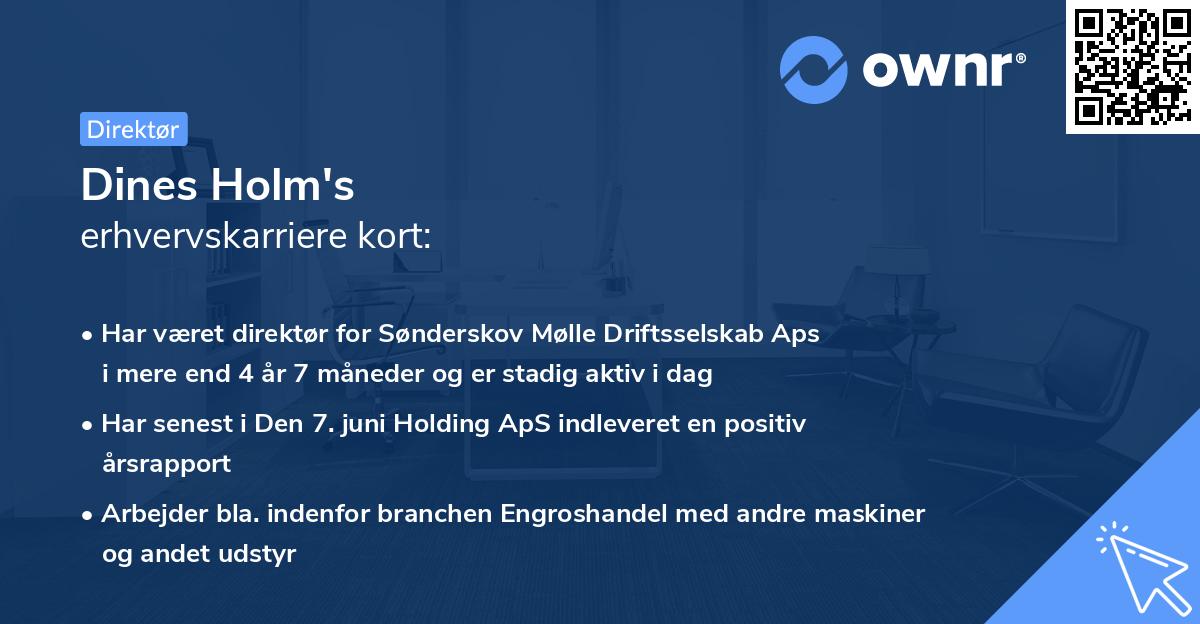 Dines Holm's erhvervskarriere kort