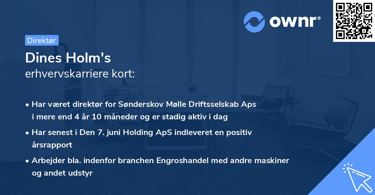 Dines Holm's erhvervskarriere kort