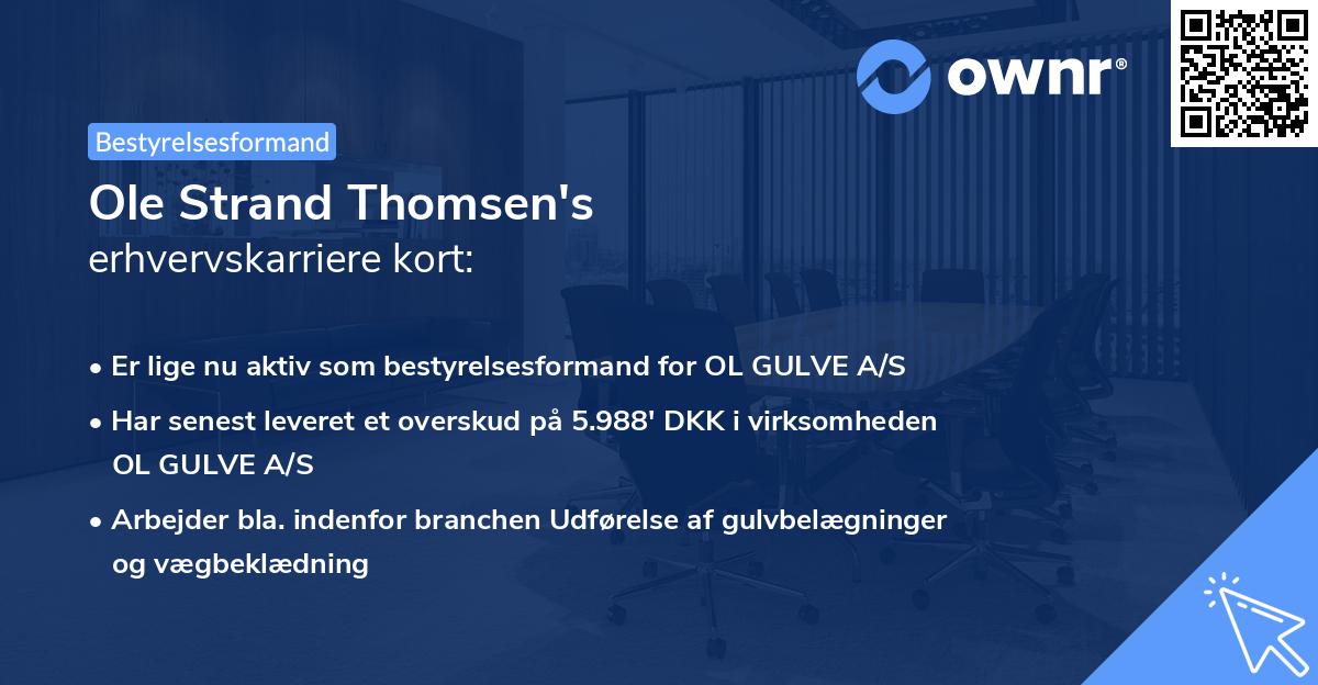 Ole Strand Thomsen's erhvervskarriere kort