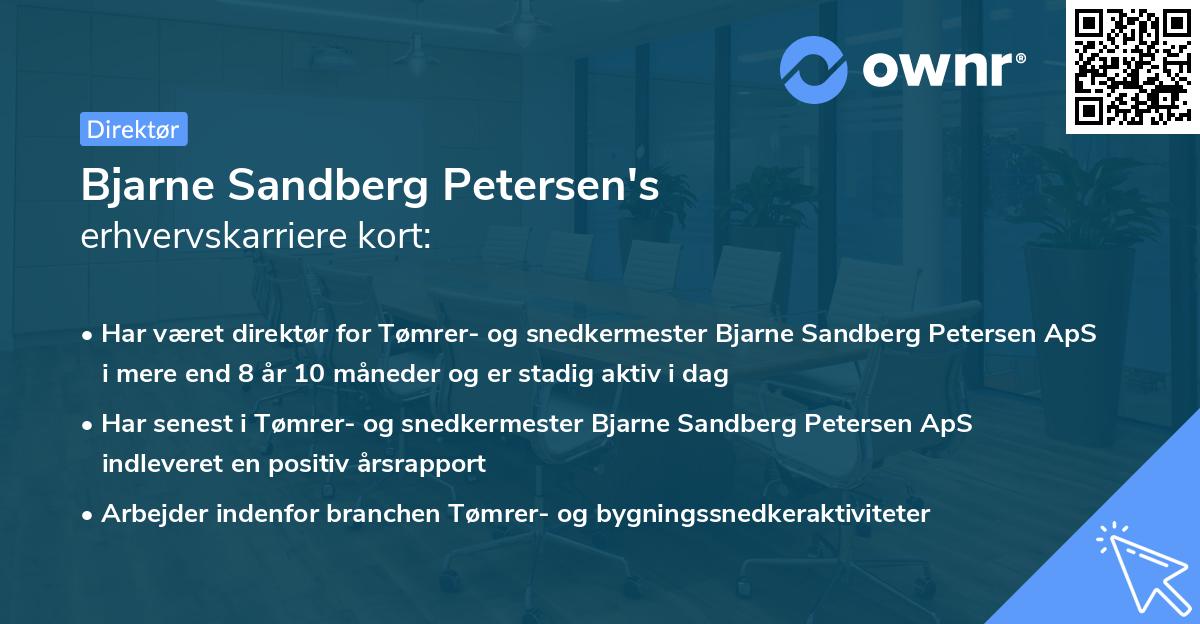 Bjarne Sandberg Petersen's erhvervskarriere kort