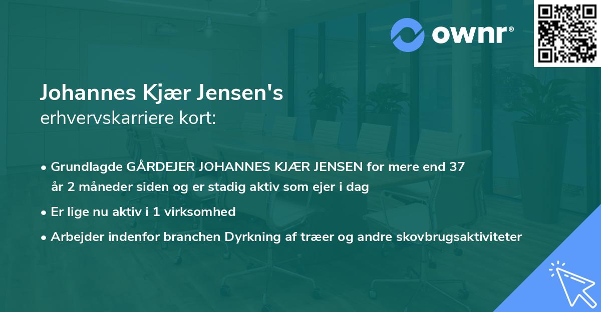 Johannes Kjær Jensen's erhvervskarriere kort
