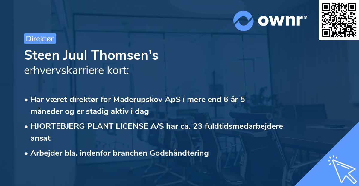 Steen Juul Thomsen's erhvervskarriere kort