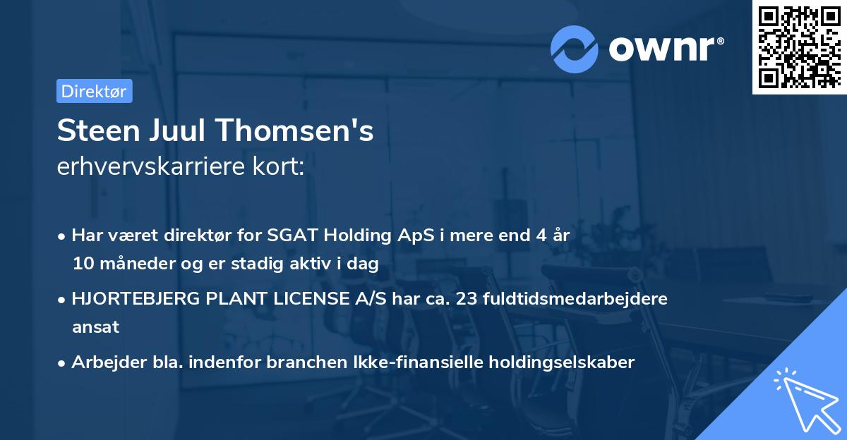 Steen Juul Thomsen's erhvervskarriere kort