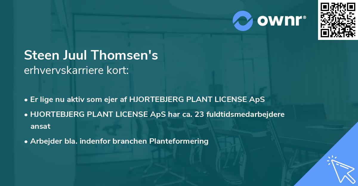Steen Juul Thomsen's erhvervskarriere kort