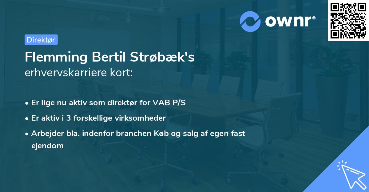 Flemming Bertil Strøbæk's erhvervskarriere kort