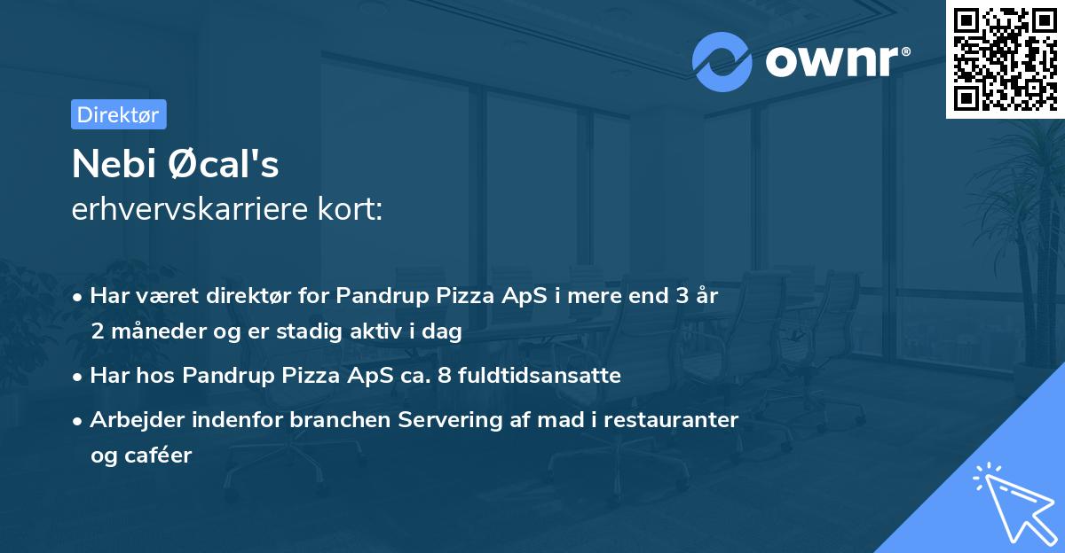 Nebi Øcal's erhvervskarriere kort