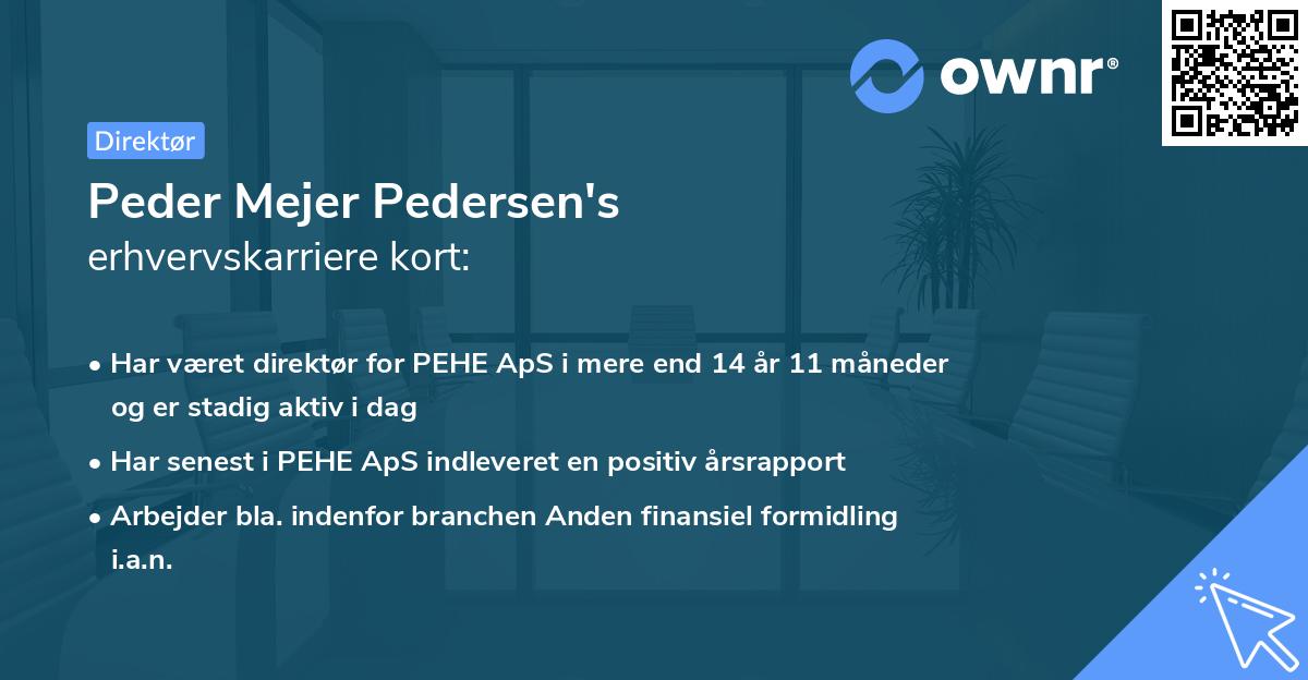 Peder Mejer Pedersen's erhvervskarriere kort