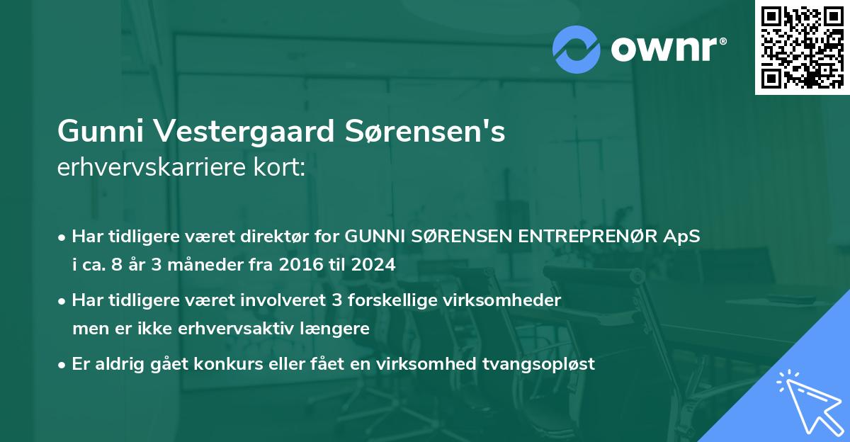 Gunni Vestergaard Sørensen's erhvervskarriere kort