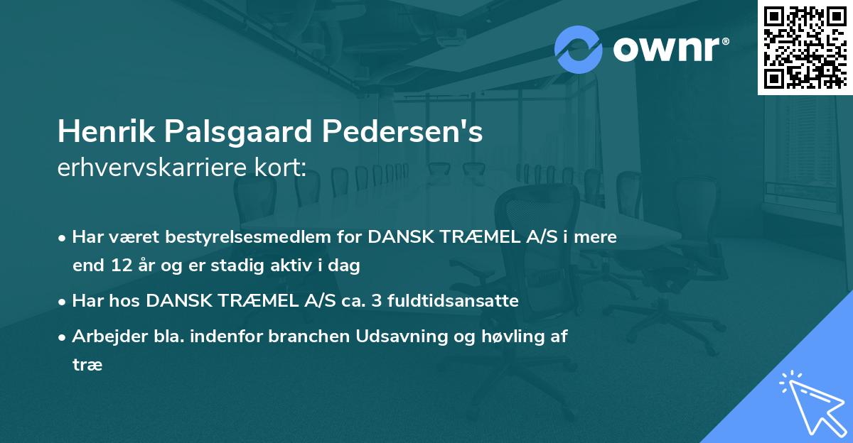 Henrik Palsgaard Pedersen's erhvervskarriere kort