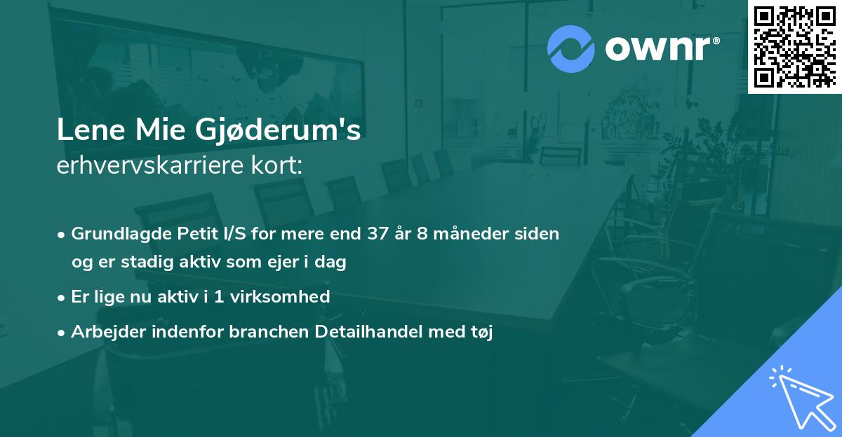 Lene Mie Gjøderum's erhvervskarriere kort