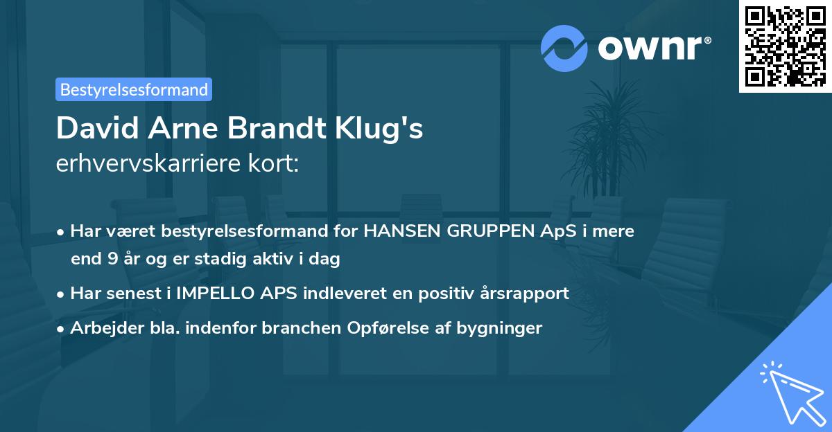 David Arne Brandt Klug's erhvervskarriere kort
