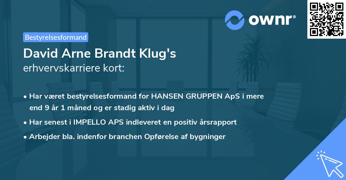 David Arne Brandt Klug's erhvervskarriere kort