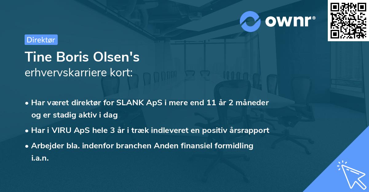 Tine Boris Olsen's erhvervskarriere kort