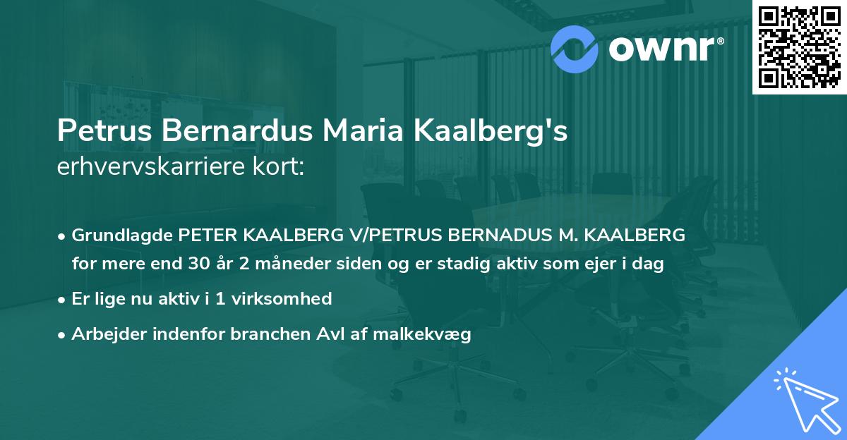 Petrus Bernardus Maria Kaalberg's erhvervskarriere kort