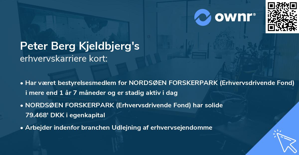 Peter Berg Kjeldbjerg's erhvervskarriere kort