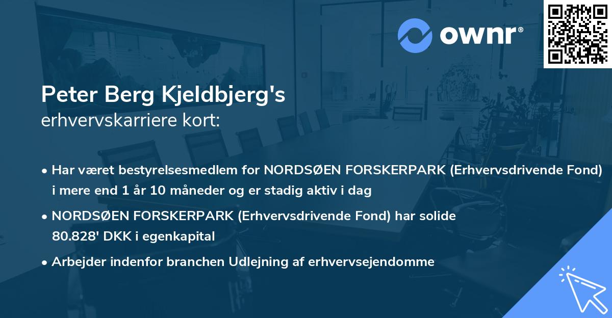 Peter Berg Kjeldbjerg's erhvervskarriere kort
