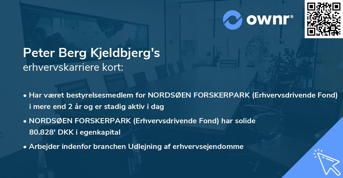 Peter Berg Kjeldbjerg's erhvervskarriere kort