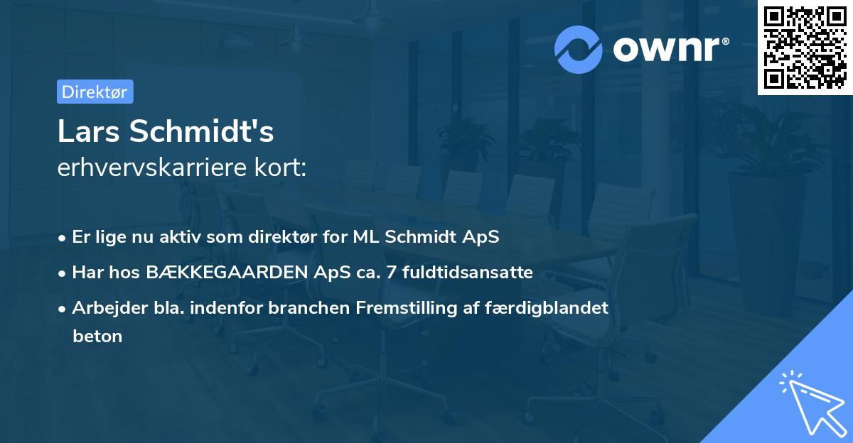 Lars Schmidt's erhvervskarriere kort