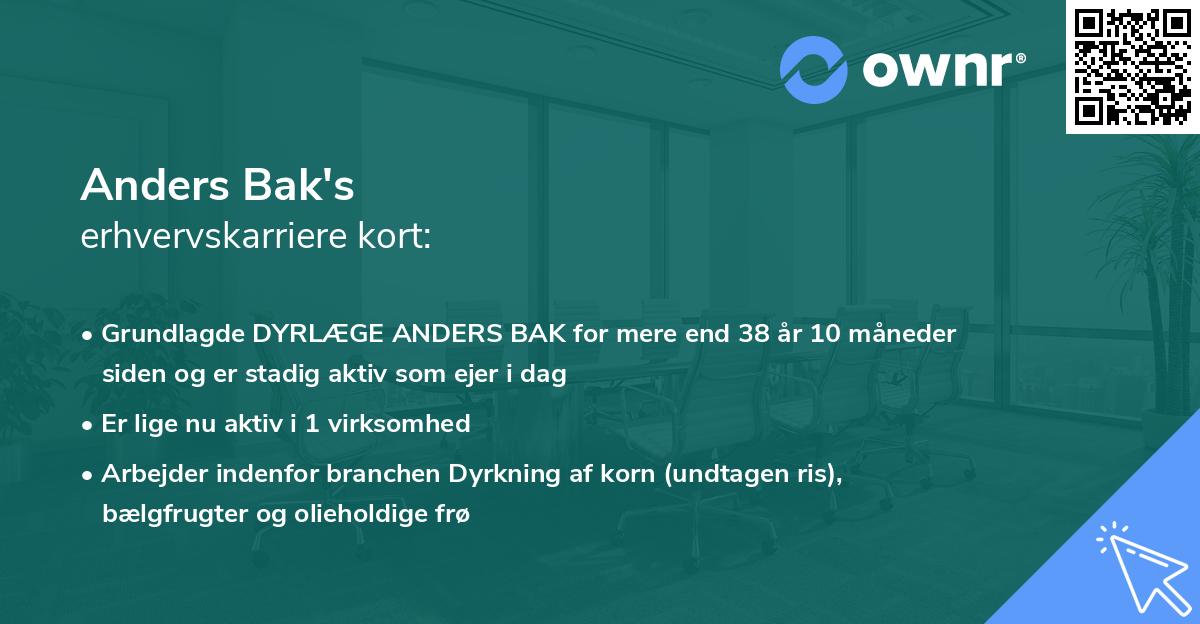 Anders Bak's erhvervskarriere kort