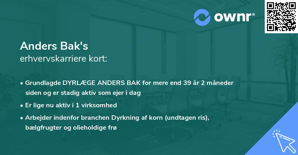 Anders Bak's erhvervskarriere kort