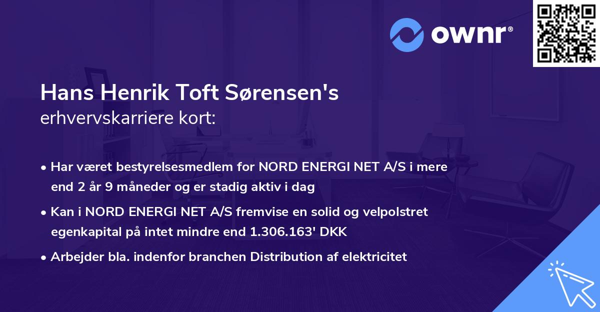 Hans Henrik Toft Sørensen's erhvervskarriere kort
