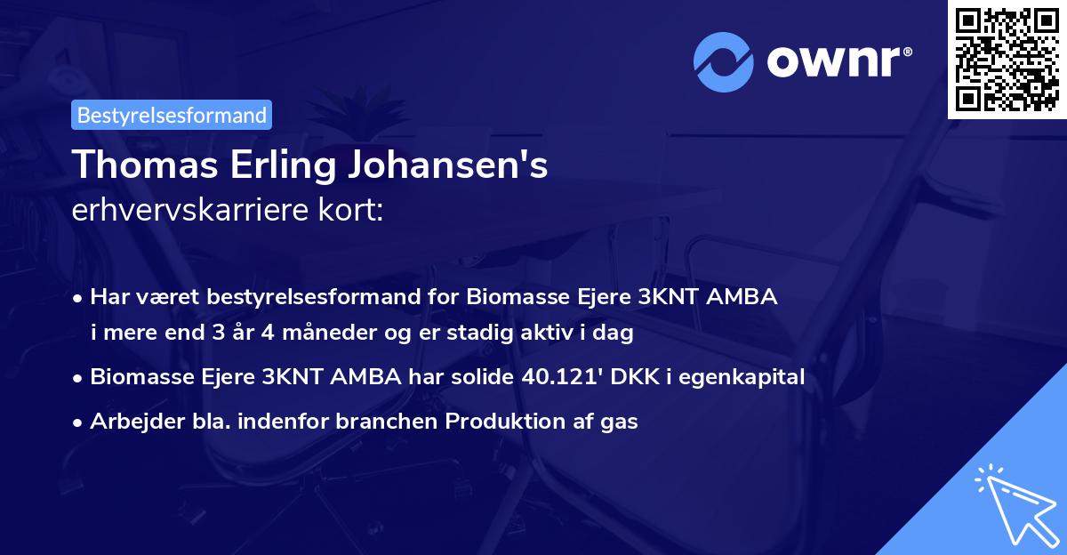 Thomas Erling Johansen's erhvervskarriere kort