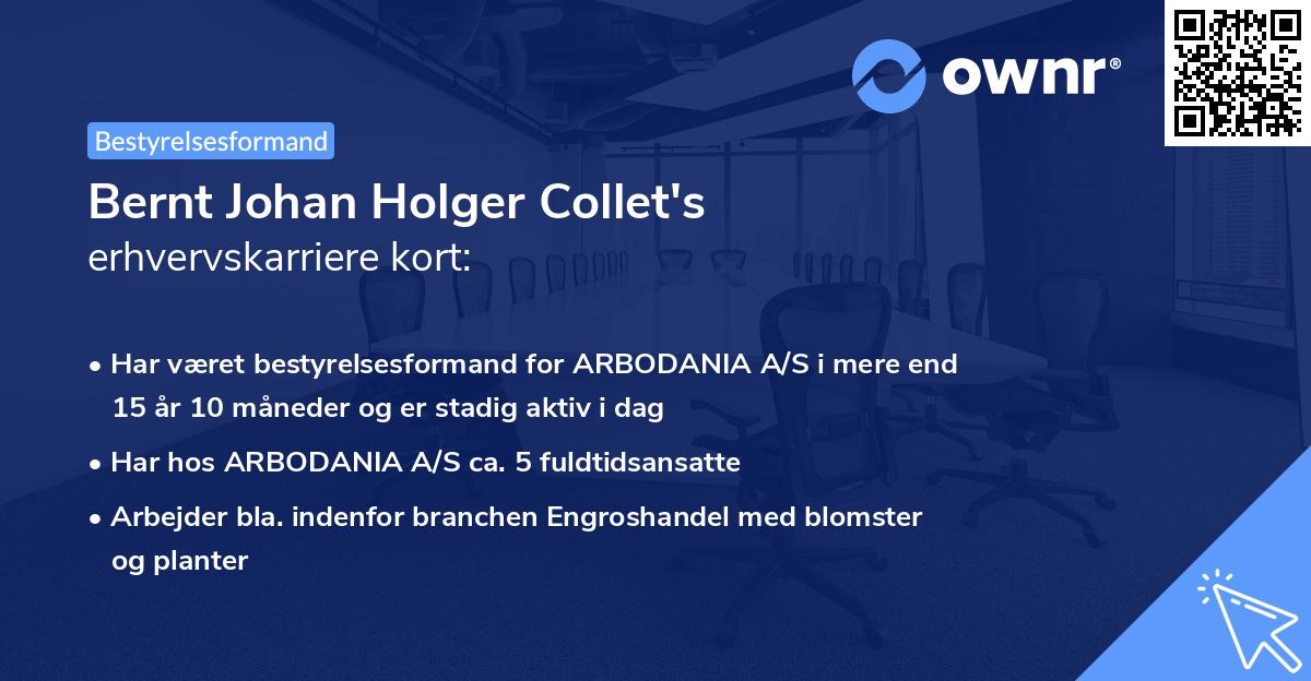 Bernt Johan Holger Collet's erhvervskarriere kort