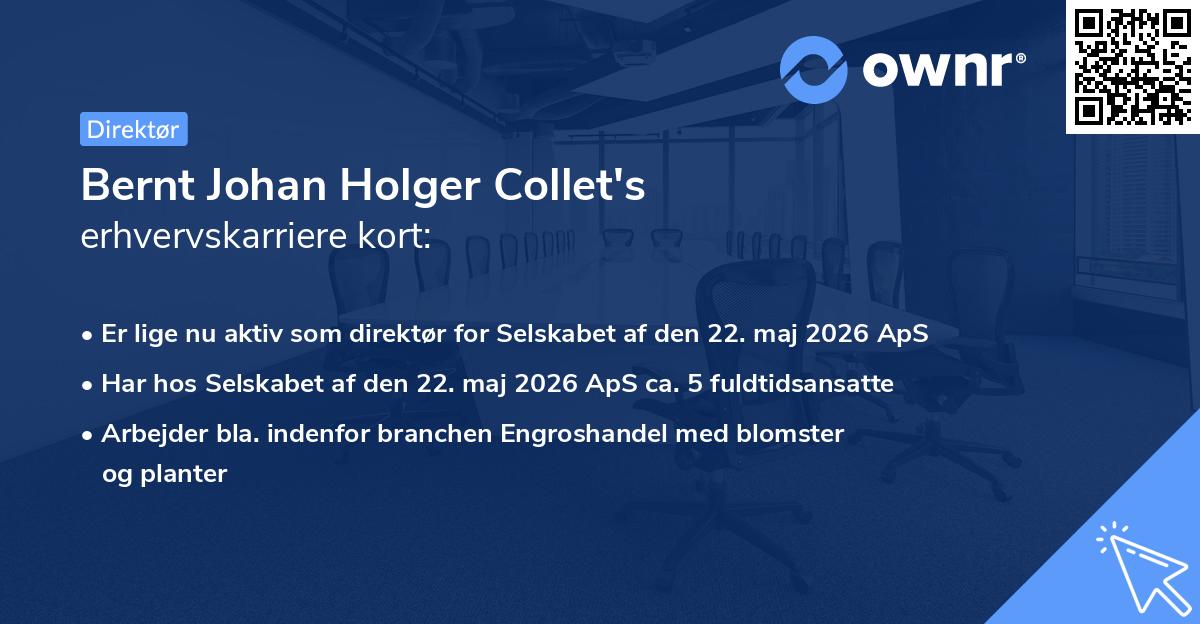 Bernt Johan Holger Collet's erhvervskarriere kort