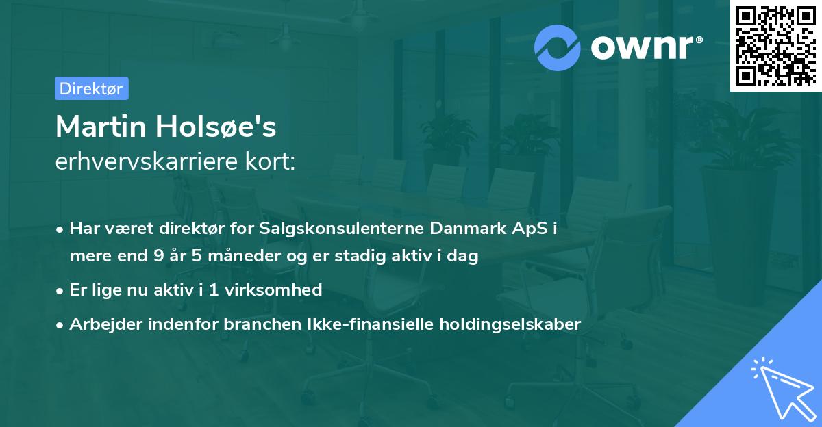 Martin Holsøe's erhvervskarriere kort