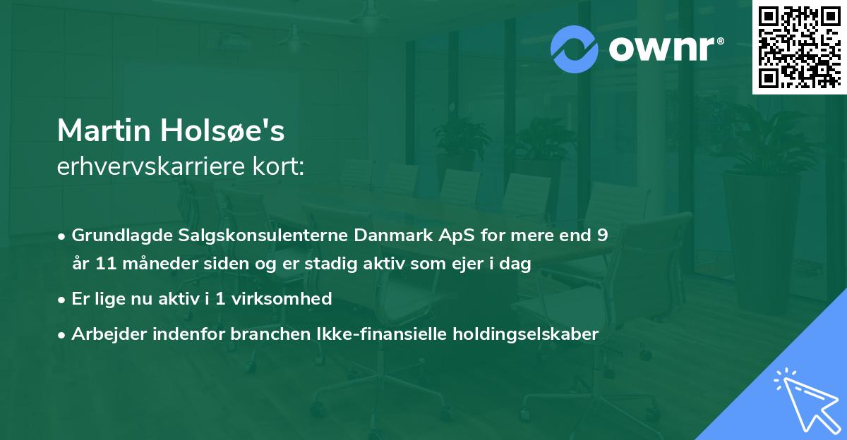 Martin Holsøe's erhvervskarriere kort