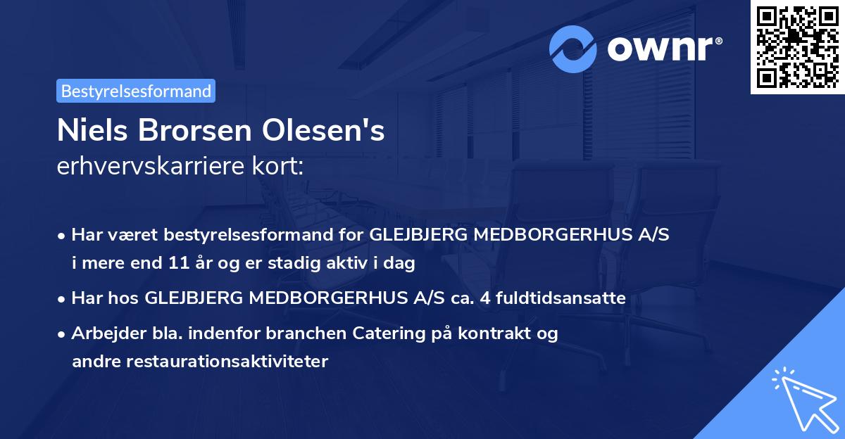 Niels Brorsen Olesen's erhvervskarriere kort