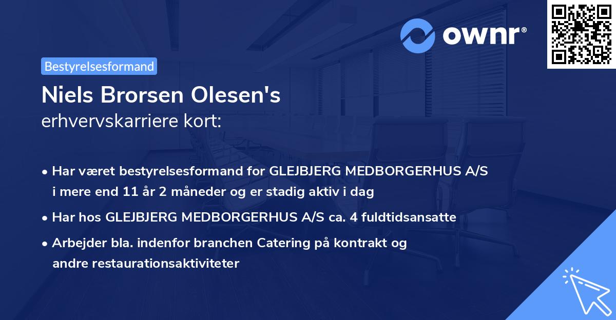 Niels Brorsen Olesen's erhvervskarriere kort