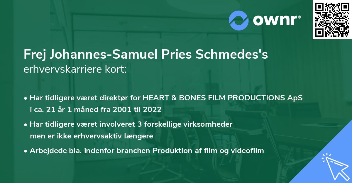 Frej Johannes-Samuel Pries Schmedes's erhvervskarriere kort
